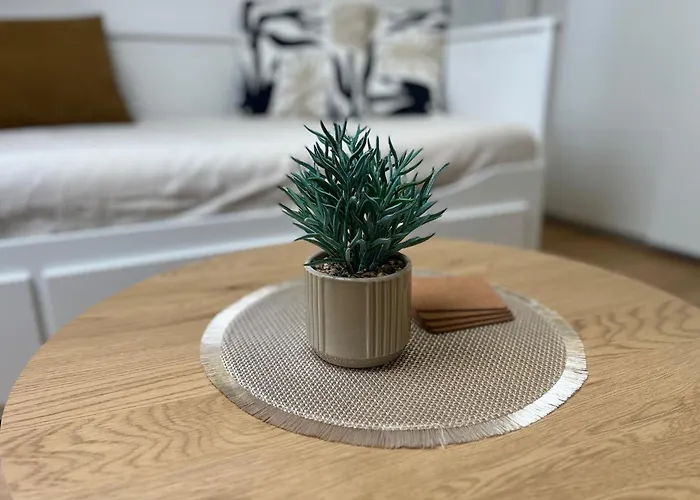 Stylish Sister In The Heart Of Lejlighed